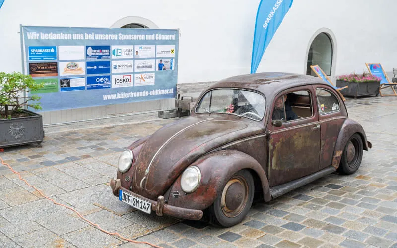 kaeferweihe_250525_037.jpg