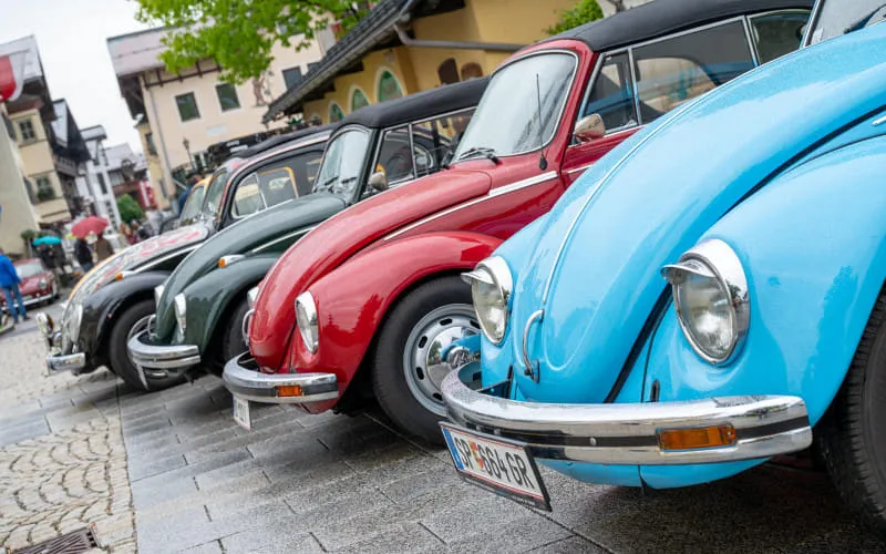 kaeferweihe_250525_070.jpg