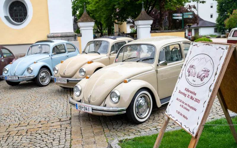 kaeferweihe_250525_071.jpg
