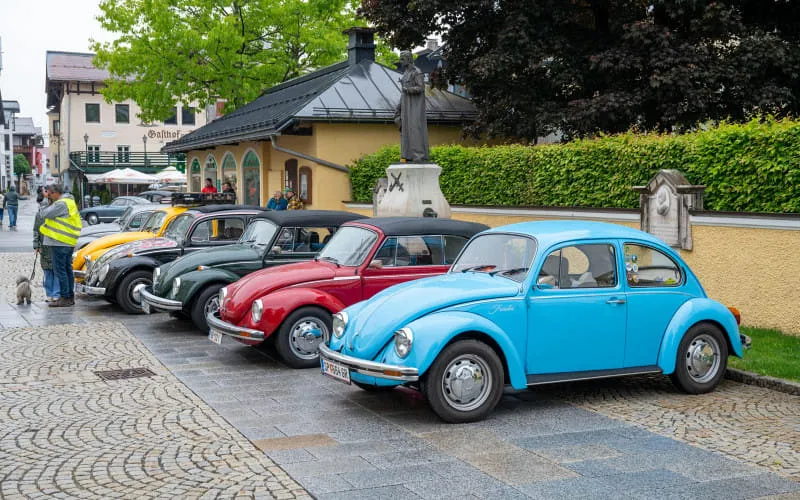 kaeferweihe_250525_072.jpg