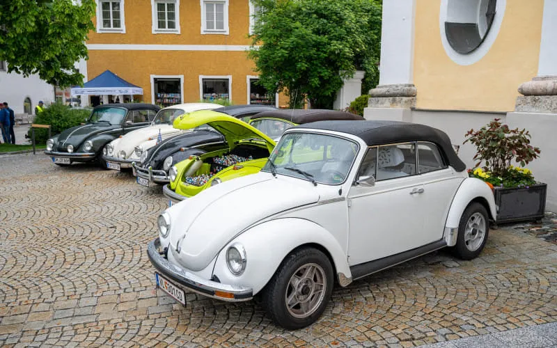 kaeferweihe_250525_073.jpg