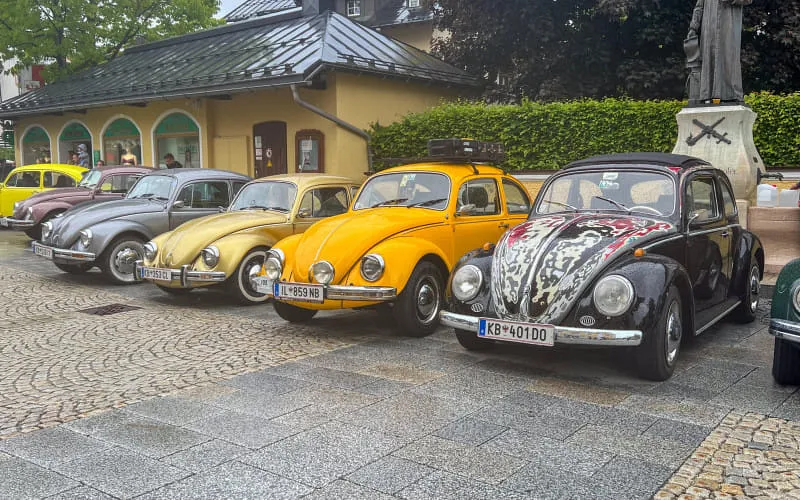 kaeferweihe_250525_075.jpg