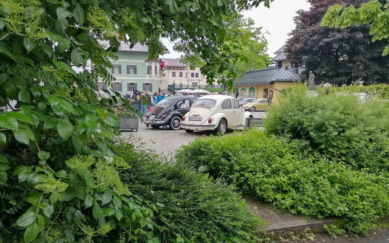kaeferweihe_250525_089.jpg