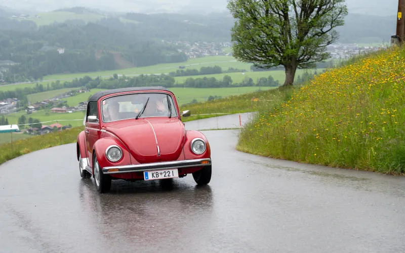 kaeferweihe_250525_109.jpg