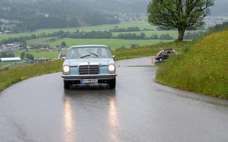 kaeferweihe_250525_111.jpg