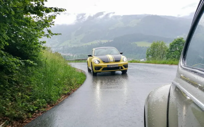 kaeferweihe_250525_114.jpg