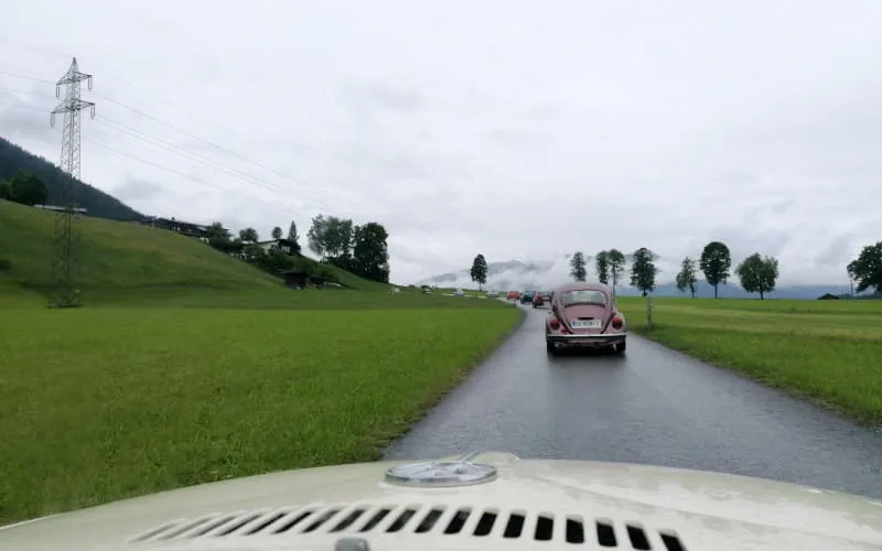 kaeferweihe_250525_115.jpg