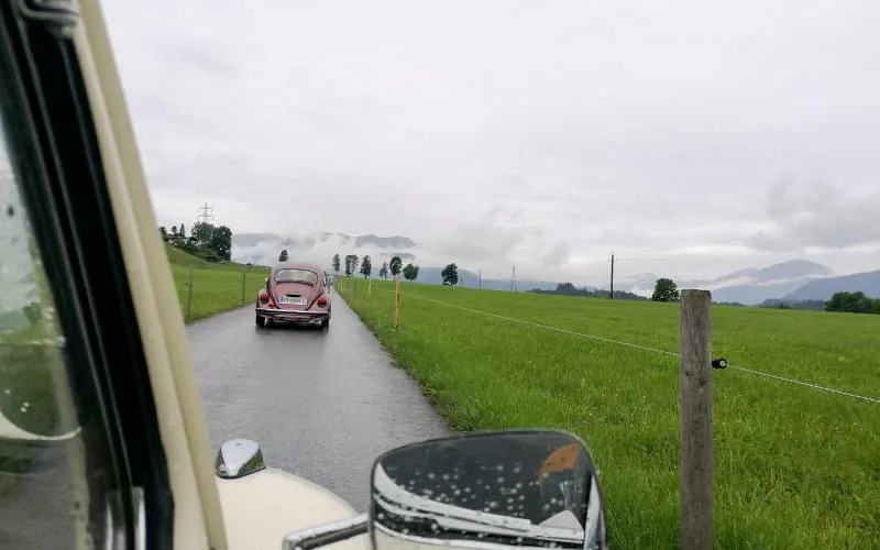 kaeferweihe_250525_117.jpg