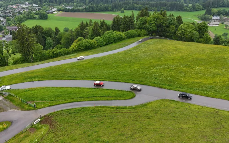 kaeferweihe_250525_119.jpg