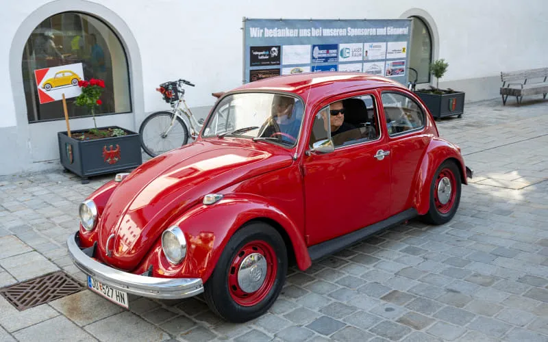 kaeferweihe_260531_023.jpg