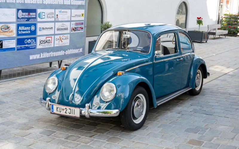 kaeferweihe_260531_033.jpg