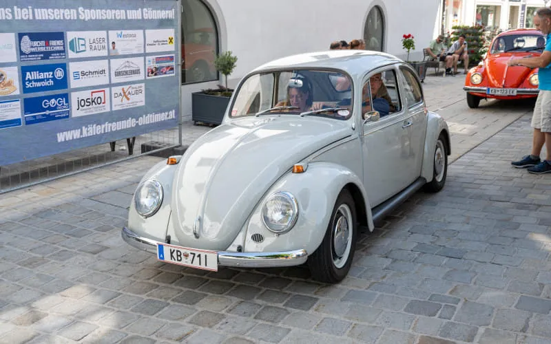kaeferweihe_260531_051.jpg