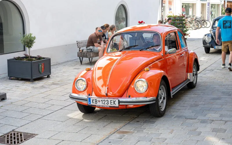 kaeferweihe_260531_052.jpg