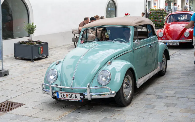 kaeferweihe_260531_064.jpg