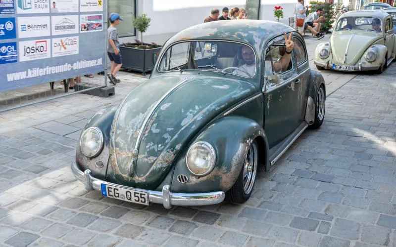 kaeferweihe_260531_080.jpg