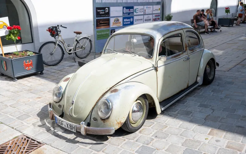 kaeferweihe_260531_081.jpg
