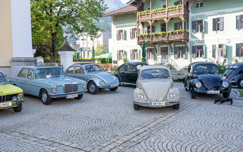 kaeferweihe_260531_110.jpg