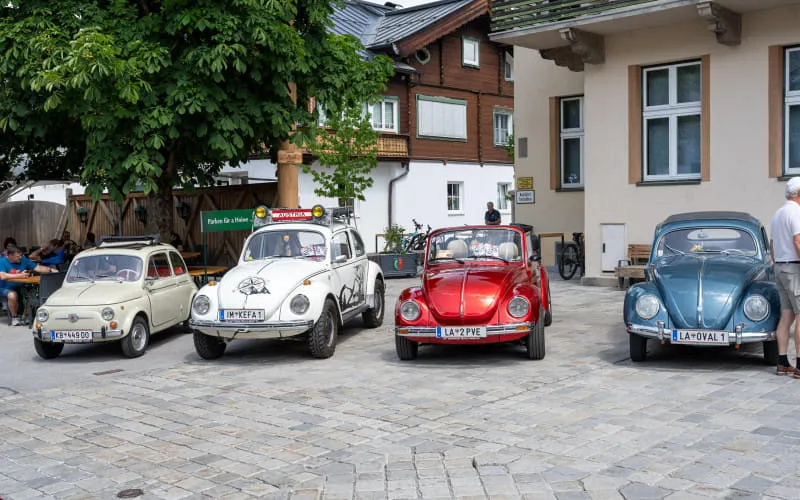 kaeferweihe_260531_152.jpg