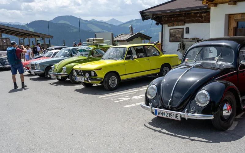 kaeferweihe_260531_163.jpg