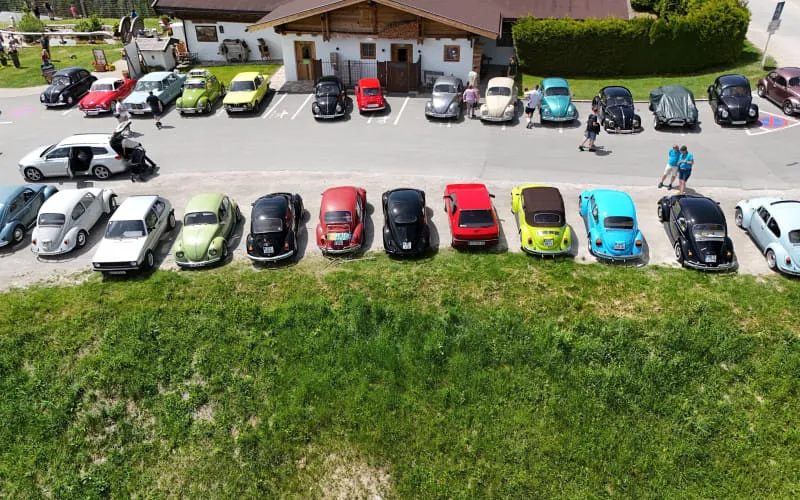 kaeferweihe_260531_173.jpg