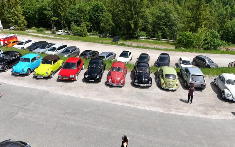 kaeferweihe_260531_175.jpg